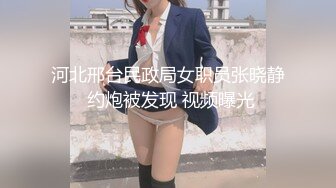 河北邢台民政局女职员张晓静 约炮被发现 视频曝光