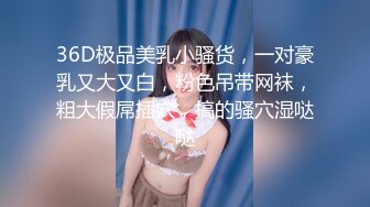 36D极品美乳小骚货，一对豪乳又大又白，粉色吊带网袜，粗大假屌插穴，搞的骚穴湿哒哒