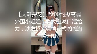 【文轩探花】2600约操高端外围小姐姐，胸大白嫩口活给力，沙发抠穴调情花式啪啪激情无限