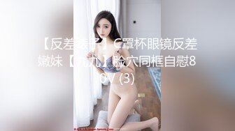 【反差婊子】C罩杯眼镜反差嫩妹【九九】脸穴同框自慰80V (3)