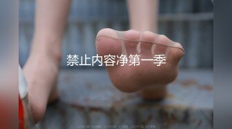 禁止内容净第一季