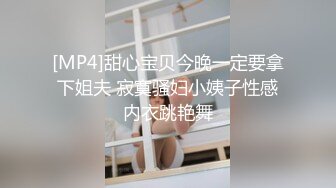 [MP4]麻豆传媒-调教女仆美娇娘 确认湿润后忘情操干 麻豆女神陈美琳