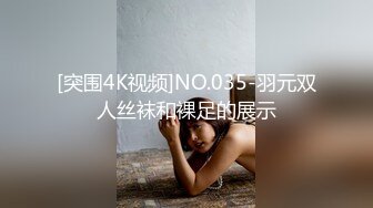 [突围4K视频]NO.035-羽元双人丝袜和裸足的展示