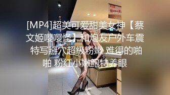 [MP4]超美可爱甜美女神【蔡文姬嘤嘤怪】和炮友户外车震 特写掰穴超级粉嫩 难得的啪啪 粉红小嫩鲍特养眼