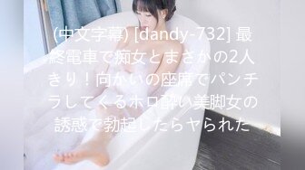 (中文字幕) [dandy-732] 最終電車で痴女とまさかの2人きり！向かいの座席でパンチラしてくるホロ酔い美脚女の誘惑で勃起したらヤられた