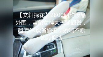 【文轩探花】2800网约极品外围，苗条女神大长腿翘臀，超清4K设备偷拍，娇喘不断如胶似漆