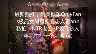 最新强推，网美推车OnlyFans极品女M母狗变态人妻ann私拍，NTR老公3P双飞多人淫乱主打一个刺激 (4)