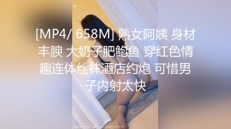 [MP4/ 658M] 熟女阿姨 身材丰腴 大奶子肥鲍鱼 穿红色情趣连体丝袜酒店约炮 可惜男子内射太快