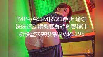 [MP4/19GB]【反差婊新品】大陆最新流出各类泄密，人前淑女人后母狗吹舔反差181部合集