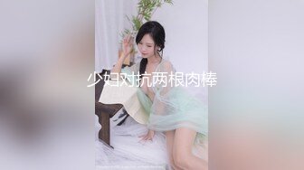 少妇对抗两根肉棒