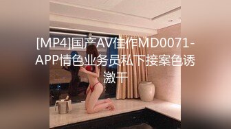 [MP4]国产AV佳作MD0071-APP情色业务员私下接案色诱激干